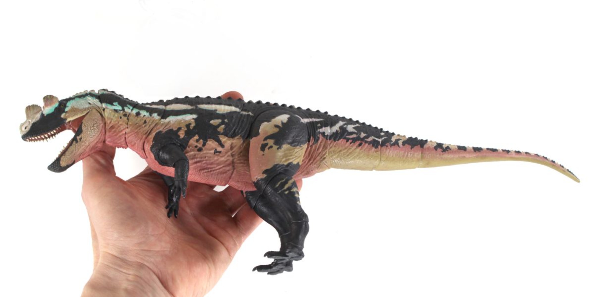 中生代の獣たちスタジオ 1/18 スケール セラトサウルス  - Model Kit Baki のレビューと価格