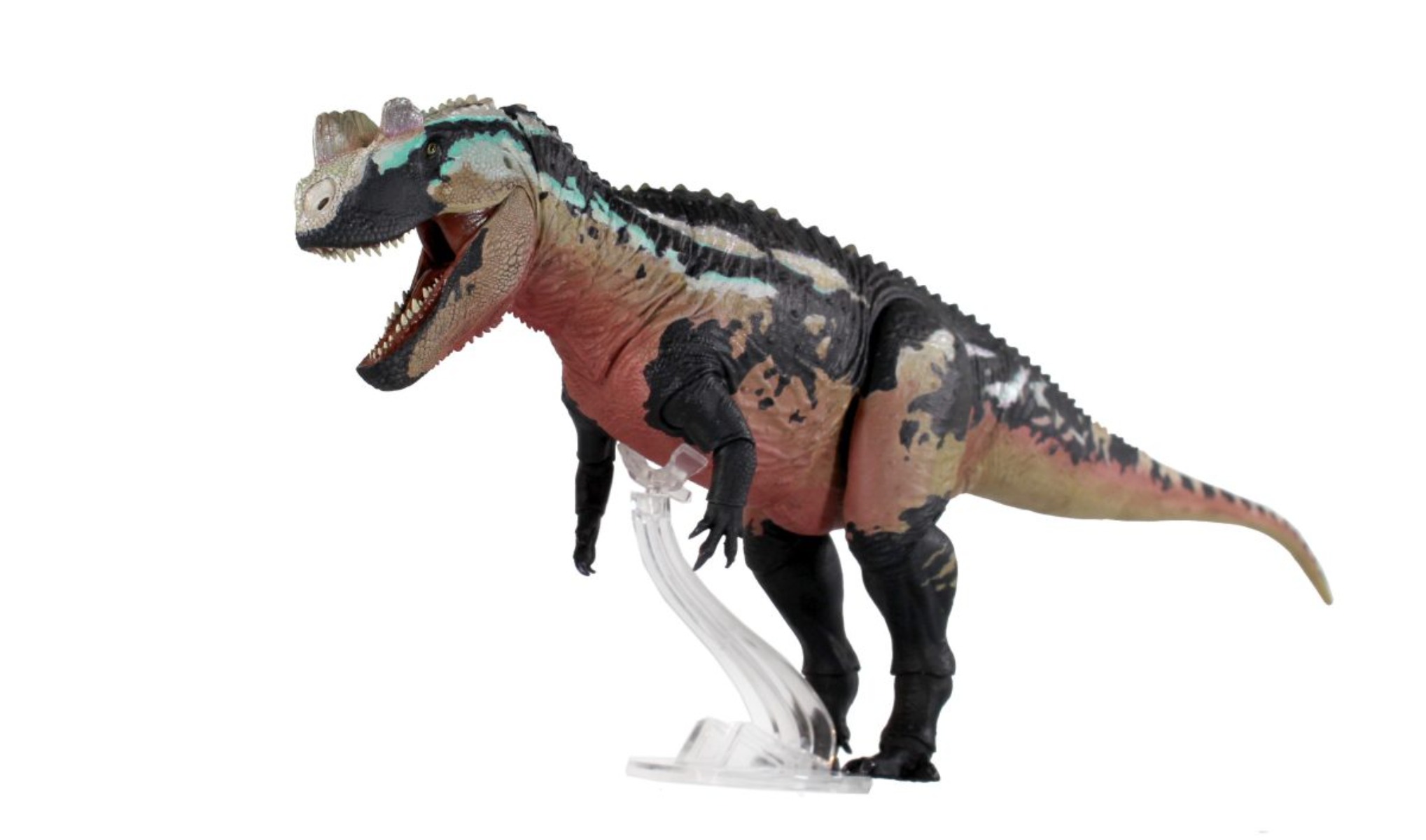 中生代の獣たちスタジオ 1/18 スケール セラトサウルス  - Model Kit Baki のレビューと価格